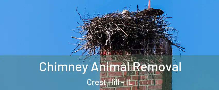 Chimney Animal Removal Crest Hill - IL