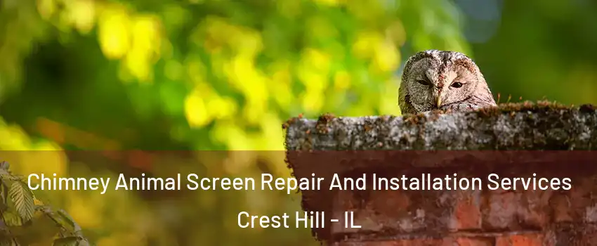  Chimney Animal Screen Repair And Installation Services Crest Hill - IL