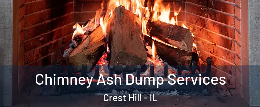  Chimney Ash Dump Services Crest Hill - IL