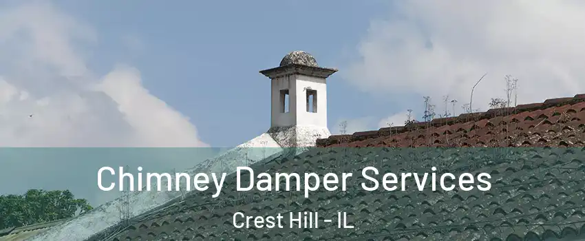  Chimney Damper Services Crest Hill - IL