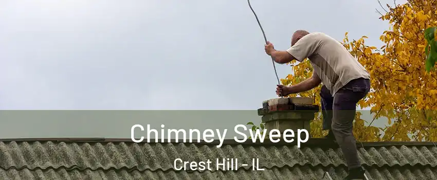  Chimney Sweep Crest Hill - IL
