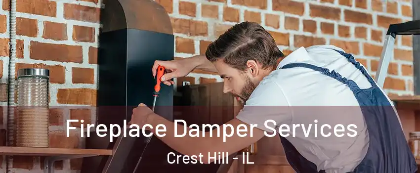  Fireplace Damper Services Crest Hill - IL