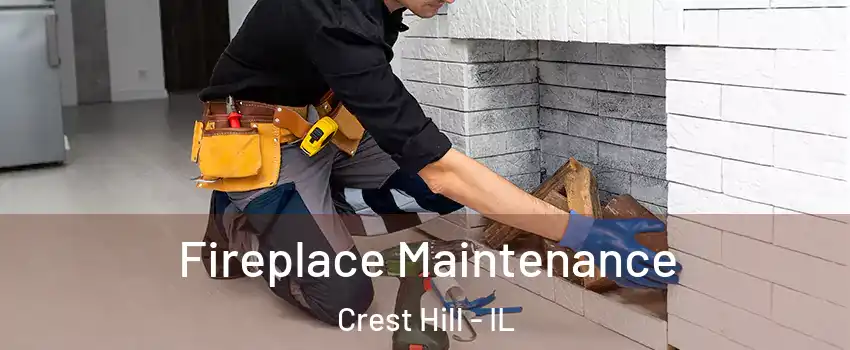  Fireplace Maintenance Crest Hill - IL