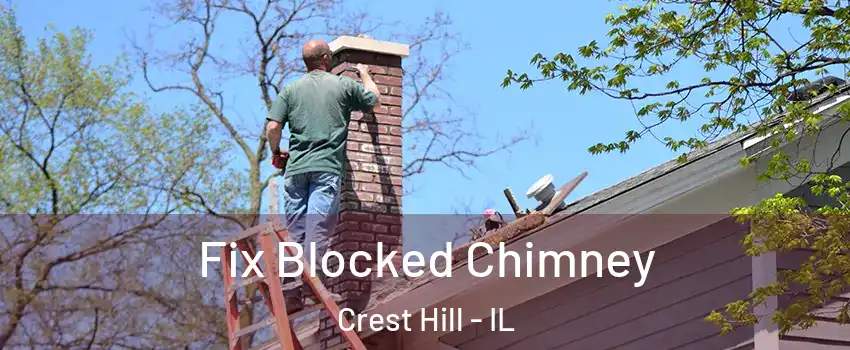  Fix Blocked Chimney Crest Hill - IL