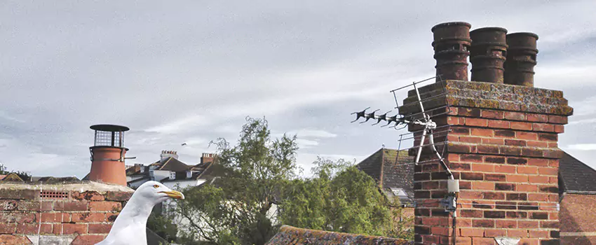Chimney Cleaning And Restoration in Crest Hill, Illinois
