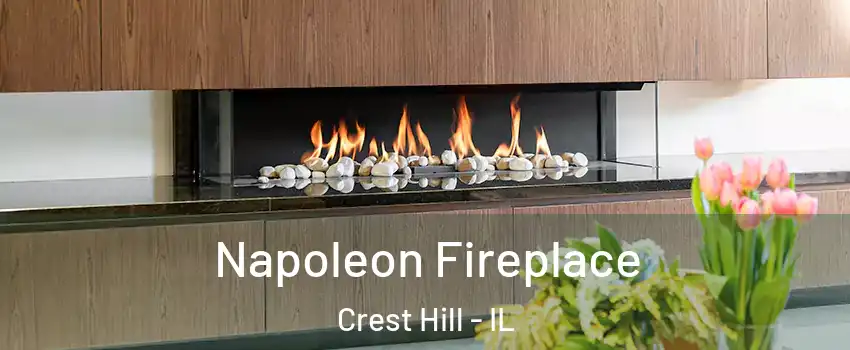  Napoleon Fireplace Crest Hill - IL